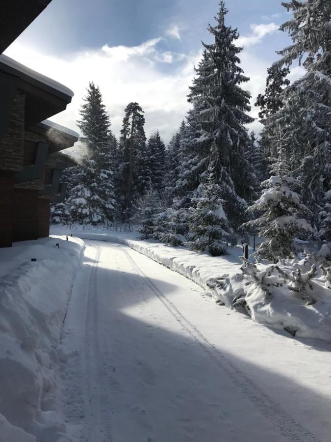 Виллы Borovets Chalets Боровец-5