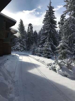 Виллы Borovets Chalets Боровец-1